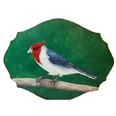 "Here's To the Red, White and Blue" Acrylic Paints E-Pattern By Debbie Cushing