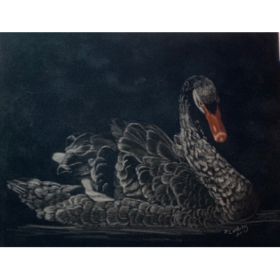 Black Swan E-Pattern By Debbie Cushing