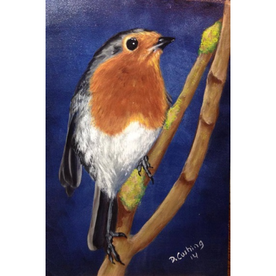 European Robin E-Pattern By Debbie Cushing
