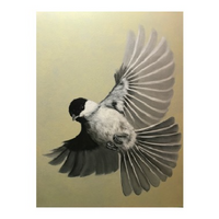 Flight E-Pattern By Debbie Cushing