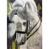 Graceful Grey E-Pattern By Debbie Cushing
