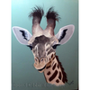 Here's Looking At You E-Pattern By Debbie Cushing