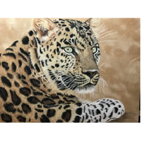 Leopard E-Pattern By Debbie Cushing