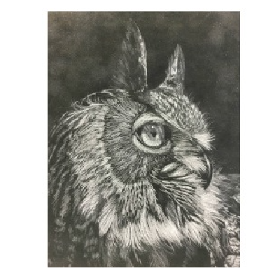 Owl E-Pattern By Debbie Cushing