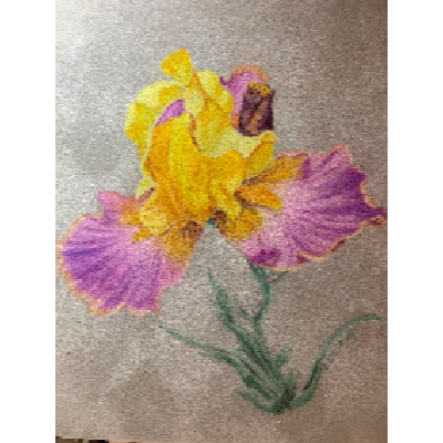 Snowy Iris E-Pattern By Debbie Cushing