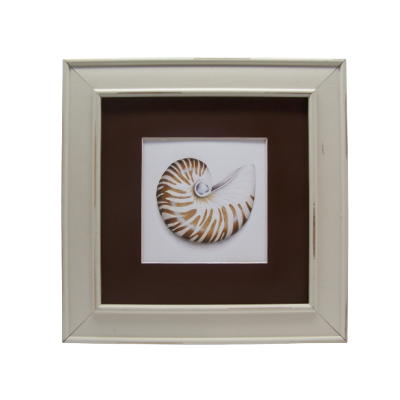 Nautilus Shell E-Pattern By Linda Hollander