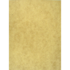 Medium Door Panel Insert