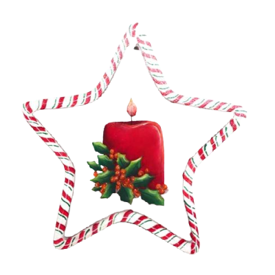 Christmas Star by Lonna Lamb
