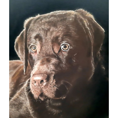 Jack the Labrador E-Pattern