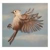 The Bird E-Pattern