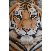 The Tiger E-Pattern