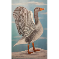 The Wild Goose E-Pattern