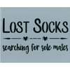 Lost Socks