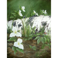 Beyond the Birch E-Pattern by Wendy Fahey