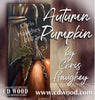Autumn Pumpkin Pattern by Chris Haughey