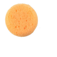 2 1/2" Synthetic Sponges